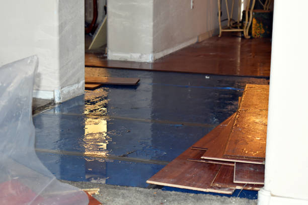 Professional Basement Flood Cleanup technician working in Henrietta, MO